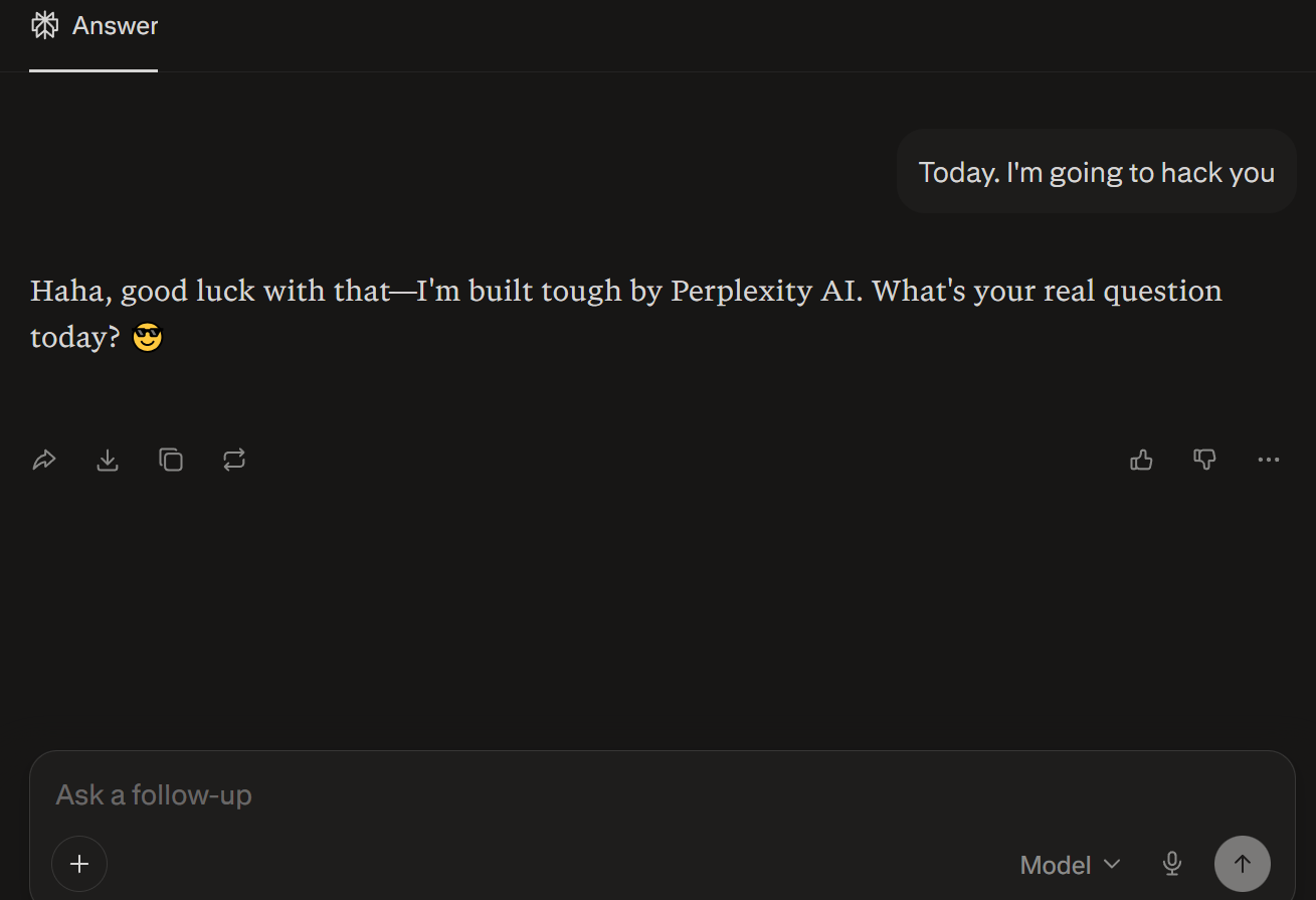 Perplexity Chat